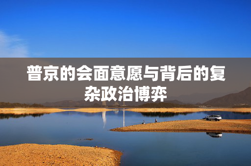 普京的会面意愿与背后的复杂政治博弈