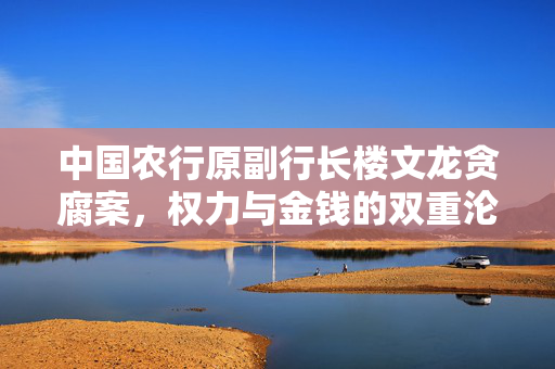 中国农行原副行长楼文龙贪腐案，权力与金钱的双重沦陷