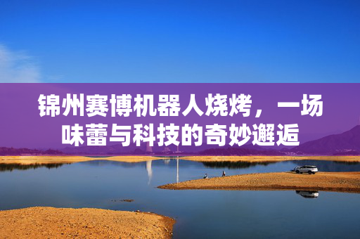 锦州赛博机器人烧烤，一场味蕾与科技的奇妙邂逅