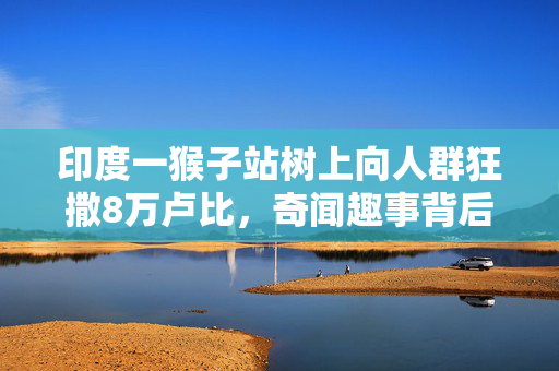 印度一猴子站树上向人群狂撒8万卢比，奇闻趣事背后的社会与生态思考