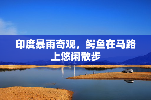 印度暴雨奇观，鳄鱼在马路上悠闲散步
