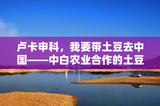 卢卡申科，我要带土豆去中国——中白农业合作的土豆情缘