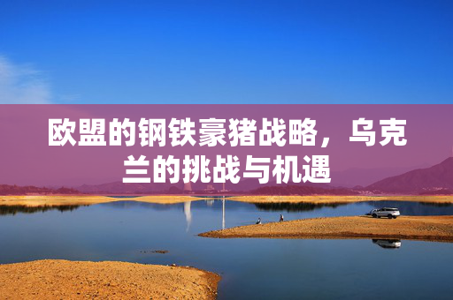 欧盟的钢铁豪猪战略，乌克兰的挑战与机遇
