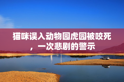 猫咪误入动物园虎园被咬死，一次悲剧的警示