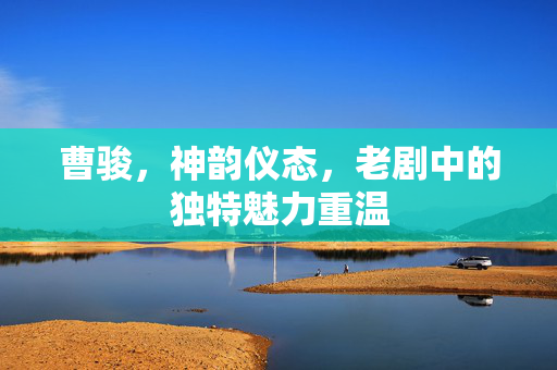 曹骏，神韵仪态，老剧中的独特魅力重温