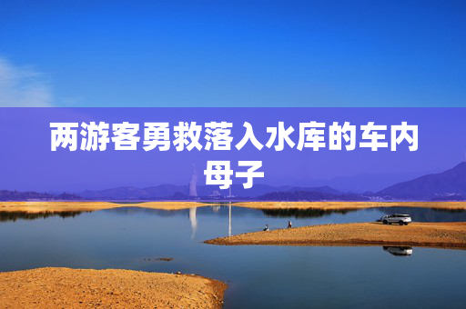 两游客勇救落入水库的车内母子