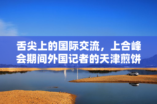 舌尖上的国际交流，上合峰会期间外国记者的天津煎饼果子奇遇记