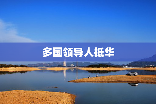 多国领导人抵华