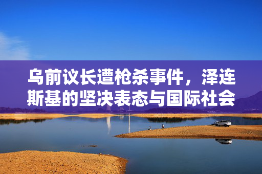 乌前议长遭枪杀事件，泽连斯基的坚决表态与国际社会的关注