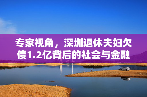 专家视角，深圳退休夫妇欠债1.2亿背后的社会与金融启示