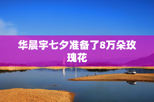 华晨宇七夕准备了8万朵玫瑰花