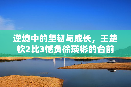 逆境中的坚韧与成长，王楚钦2比3憾负徐瑛彬的台前幕后