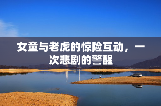 女童与老虎的惊险互动，一次悲剧的警醒