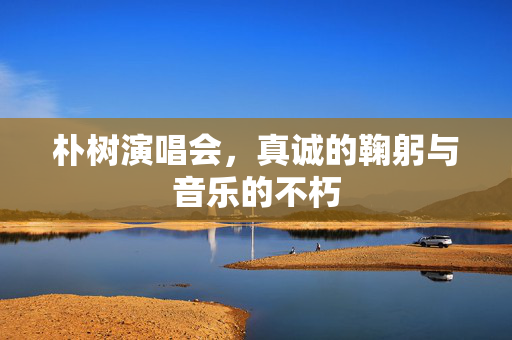 朴树演唱会，真诚的鞠躬与音乐的不朽