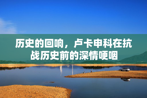 历史的回响，卢卡申科在抗战历史前的深情哽咽