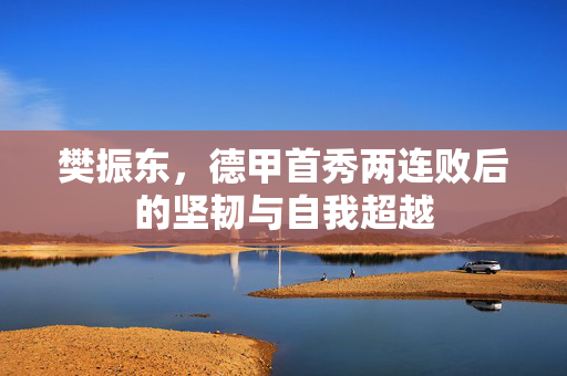 樊振东，德甲首秀两连败后的坚韧与自我超越