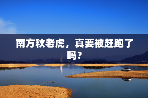南方秋老虎，真要被赶跑了吗？