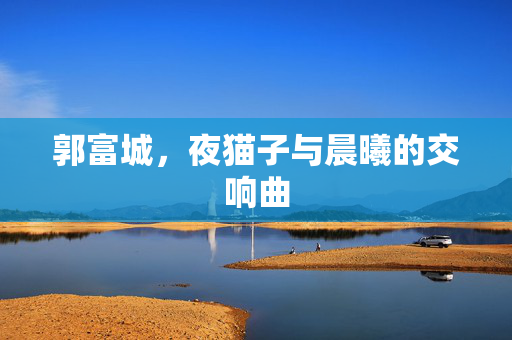 郭富城，夜猫子与晨曦的交响曲