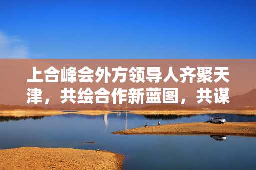 上合峰会外方领导人齐聚天津，共绘合作新蓝图，共谋发展新篇章