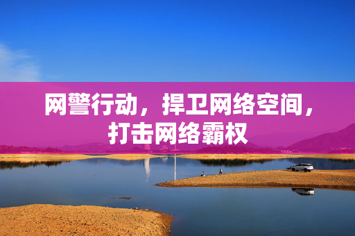 网警行动，捍卫网络空间，打击网络霸权
