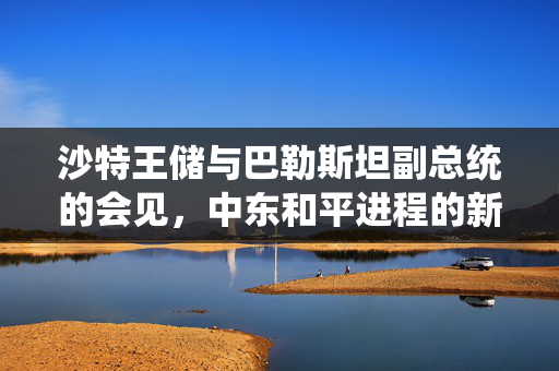 沙特王储与巴勒斯坦副总统的会见，中东和平进程的新曙光