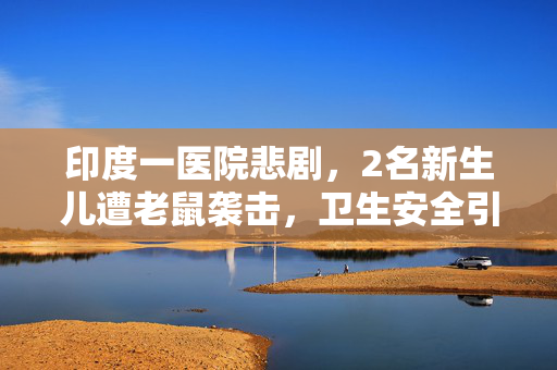 印度一医院悲剧，2名新生儿遭老鼠袭击，卫生安全引深思