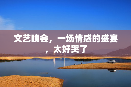 文艺晚会，一场情感的盛宴，太好哭了