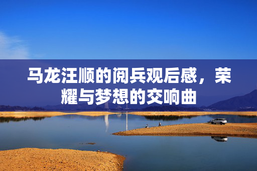 马龙汪顺的阅兵观后感，荣耀与梦想的交响曲