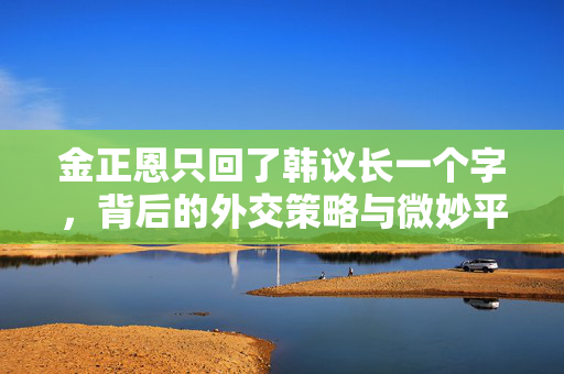 金正恩只回了韩议长一个字，背后的外交策略与微妙平衡