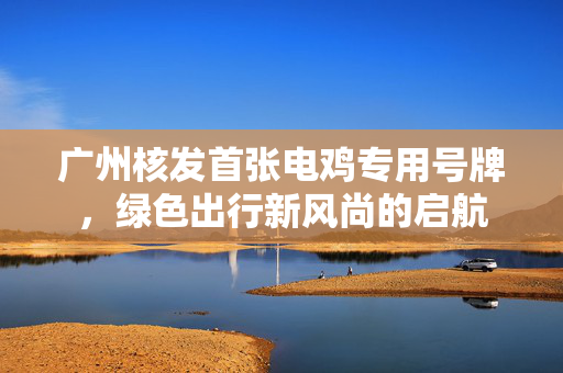 广州核发首张电鸡专用号牌，绿色出行新风尚的启航