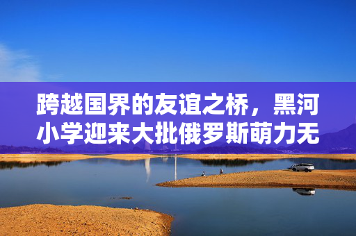 跨越国界的友谊之桥，黑河小学迎来大批俄罗斯萌力无限的小朋友们