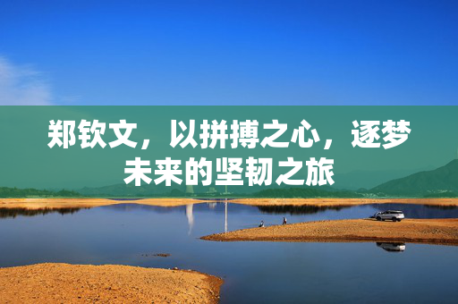 郑钦文，以拼搏之心，逐梦未来的坚韧之旅