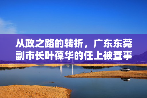 从政之路的转折，广东东莞副市长叶葆华的任上被查事件剖析