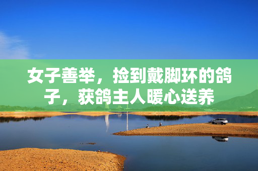 女子善举，捡到戴脚环的鸽子，获鸽主人暖心送养