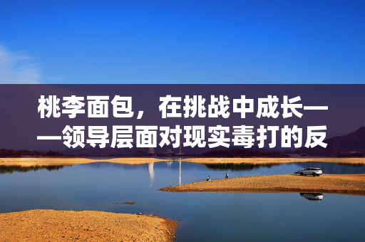 桃李面包，在挑战中成长——领导层面对现实毒打的反思与应对