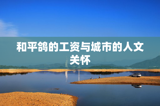 和平鸽的工资与城市的人文关怀