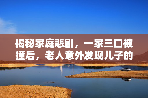 揭秘家庭悲剧，一家三口被撞后，老人意外发现儿子的秘密