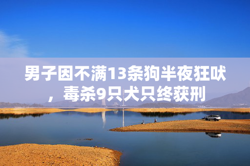 男子因不满13条狗半夜狂吠，毒杀9只犬只终获刑