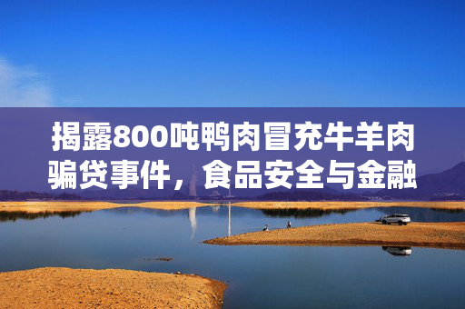揭露800吨鸭肉冒充牛羊肉骗贷事件，食品安全与金融欺诈的双重危机