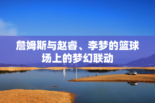 詹姆斯与赵睿、李梦的篮球场上的梦幻联动