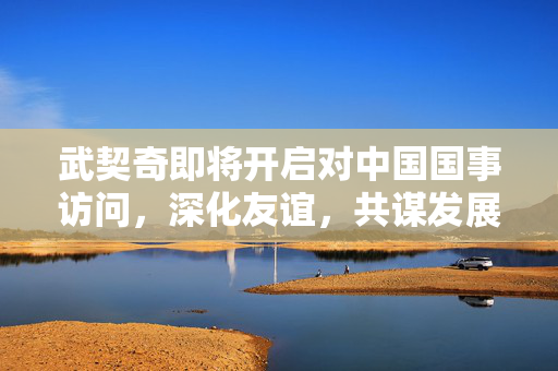 武契奇即将开启对中国国事访问，深化友谊，共谋发展
