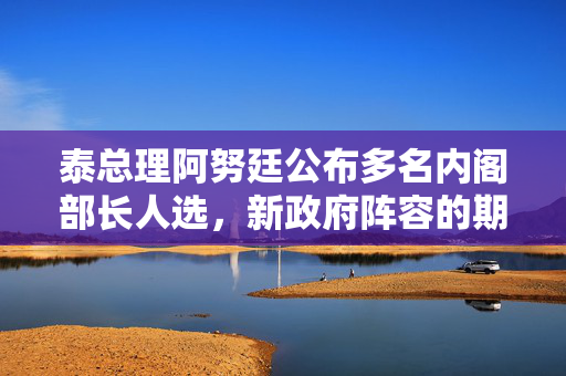 泰总理阿努廷公布多名内阁部长人选，新政府阵容的期待与挑战