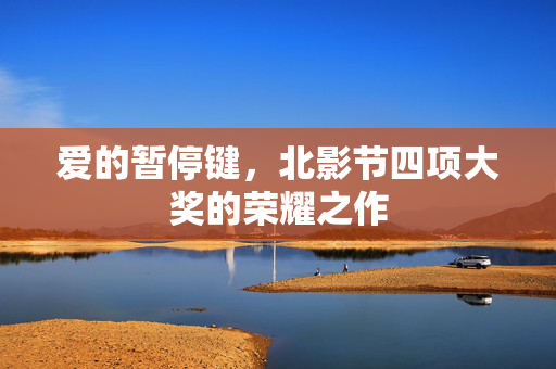 爱的暂停键，北影节四项大奖的荣耀之作