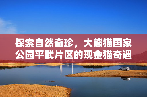 探索自然奇珍，大熊猫国家公园平武片区的现金猫奇遇