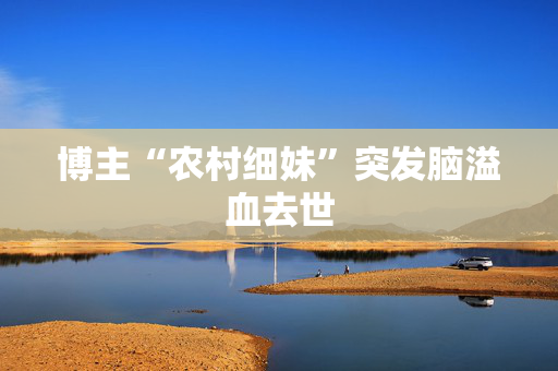 博主“农村细妹”突发脑溢血去世