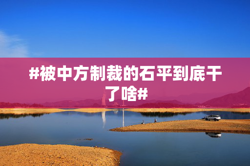 #被中方制裁的石平到底干了啥#