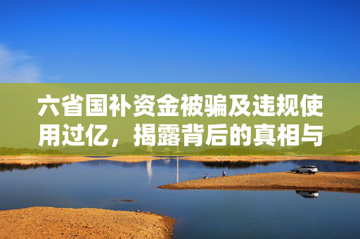 六省国补资金被骗及违规使用过亿，揭露背后的真相与反思