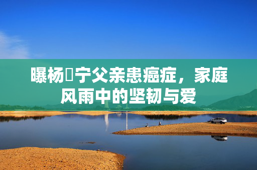 曝杨祐宁父亲患癌症，家庭风雨中的坚韧与爱