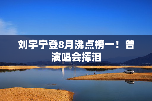 刘宇宁登8月沸点榜一！曾演唱会挥泪