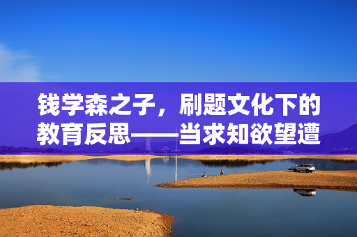 钱学森之子，刷题文化下的教育反思——当求知欲望遭遇题海战术